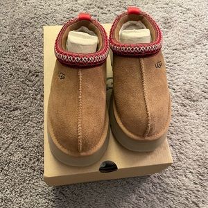 NWT W TAZZ SLIP ON UGGS
